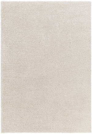 BOXHOLM Tapis Shaggy - Tapis Moderne, Salon, Chambre - Tapis Uni à Poils Longs, Épais, Doux, Moelleux, Entretien Facile - Beige