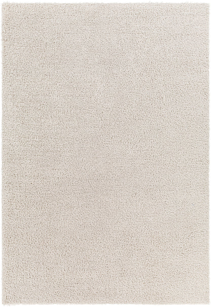 BOXHOLM Tapis Shaggy - Tapis Moderne, Salon, Chambre - Tapis Uni à Poils Longs, Épais, Doux, Moelleux, Entretien Facile - Beige