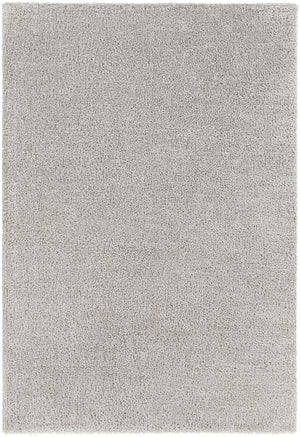 BOXHOLM Tapis Shaggy - Tapis Moderne, Salon, Chambre - Tapis Uni à Poils Longs, Épais, Doux, Moelleux, Entretien Facile - Gris Clair