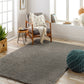 BOXHOLM Tapis Shaggy - Tapis Moderne, Salon, Chambre - Tapis Uni à Poils Longs, Épais, Doux, Moelleux, Entretien Facile - Gris Foncé