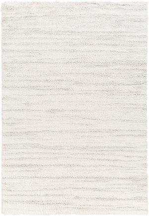 BOYER Tapis Shaggy - Tapis Moderne, Salon, Chambre - Tapis à Poils Longs, Doux, Durable, Moelleux, Entretien Facile - Blanc, Gris