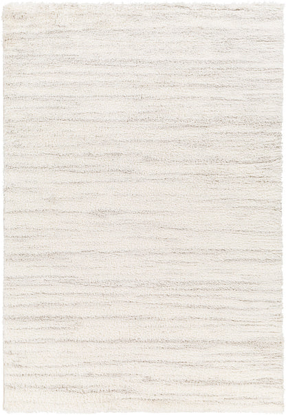 BOYER Tapis Shaggy - Tapis Moderne, Salon, Chambre - Tapis à Poils Longs, Doux, Durable, Moelleux, Entretien Facile - Blanc, Gris