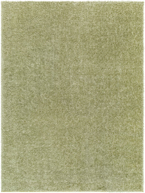 BOXHOLM Tapis Shaggy - Tapis Moderne, Salon, Chambre - Tapis Uni à Poils Longs, Épais, Doux, Durable, Moelleux, Entretien Facile - Vert