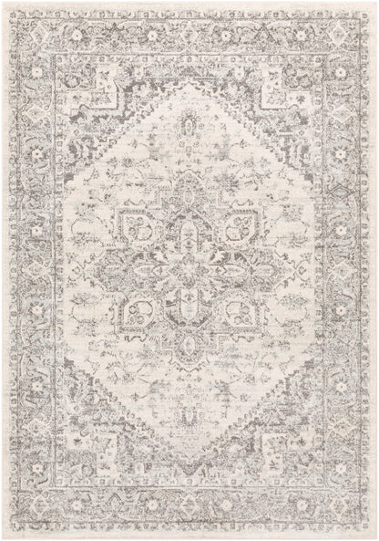 CHARTRES Tapis Vintage - Tapis Persan, Salon, Chambre - Tapis Traditionnel Oriental, Poils Courts, Doux, Entretien Facile - Gris, Beige