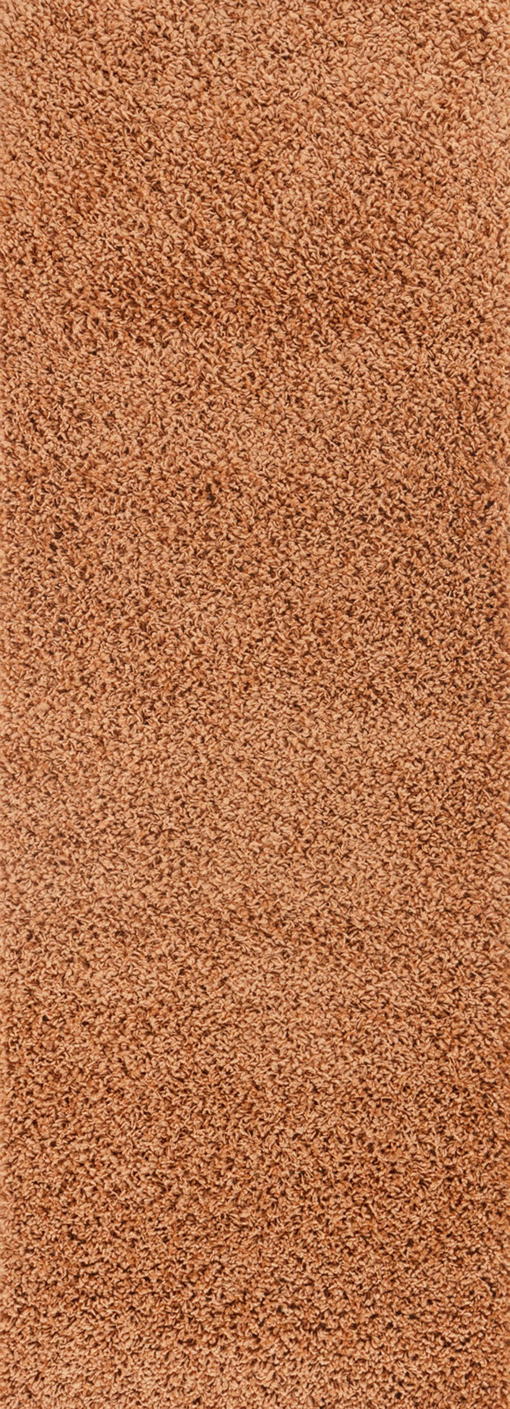 TORRIS Tapis Shaggy - Tapis Moderne, Couloir, Salon, Chambre - Tapis Uni à Poils Longs, Doux, Moelleux, Entretien Facile - Terracotta