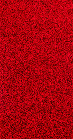 TORRIS Tapis Shaggy - Tapis Moderne, Couloir, Salon, Chambre - Tapis Uni à Poils Longs, Épais, Doux, Moelleux, Entretien Facile - Rouge