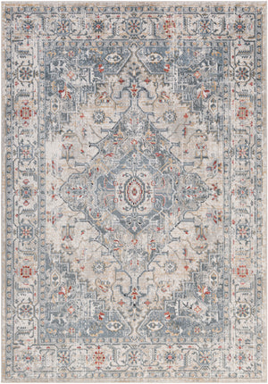 TRICHT Tapis Vintage - Tapis Persan, Salon, Chambre - Tapis Traditionnel Oriental, Poils Courts, Doux, Durable - Multicolore, Gris