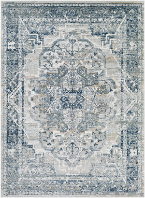 MILSCHOT Tapis Vintage - Tapis Persan, Salon, Chambre - Tapis Traditionnel Oriental, Poils Courts, Doux, Durable - Gris, Bleu, Beige