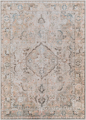 GOOSELAKE Tapis Lavable en Machine - Tapis Persan, Salon, Cuisine - Tapis Vintage Oriental, Poils Courts, Doux, Durable - Brun, Gris