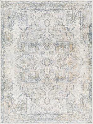 DRYRIDGE Tapis Lavable en Machine - Tapis Persan, Salon, Cuisine - Tapis Vintage Oriental, Poils Courts, Doux, Durable - Gris, Bleu