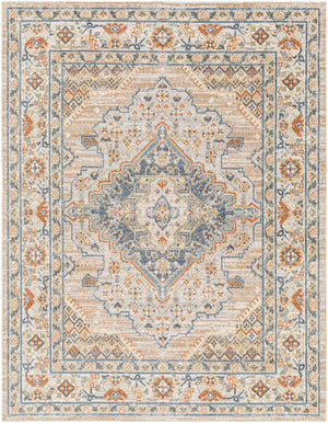 ELLINWOOD Tapis Lavable en Machine - Tapis Persan, Salon, Cuisine - Tapis Vintage Oriental, Poils Courts, Doux, Durable - Beige, Bleu