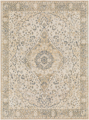 ELLINWOOD Tapis Lavable en Machine - Tapis Persan, Salon, Cuisine - Tapis Vintage Oriental, Poils Courts, Doux, Durable - Beige, Bleu