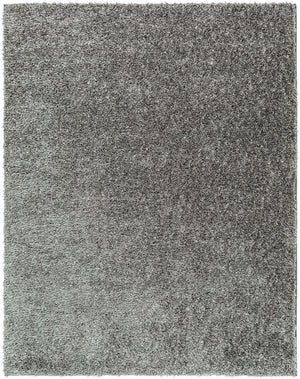 CHARON Tapis Shaggy - Tapis Moderne, Salon, Chambre - Tapis Uni à Poils Longs, Épais, Doux, Moelleux, Entretien Facile - Gris Foncé