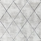 TIONA Tapis Scandinave - Tapis Moderne, Salon, Chambre - Tapis Contemporain, Poils Courts, Doux, Entretien Facile - Blanc, Gris