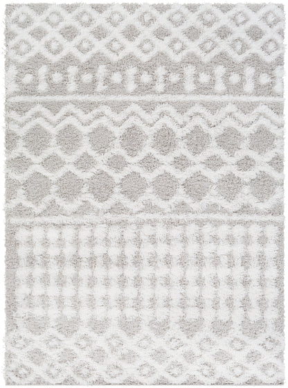 CARTER Tapis Shaggy - Tapis Moderne, Salon, Chambre - Tapis Ethnique à Poils Longs, Doux, Moelleux, Entretien Facile - Blanc, Gris