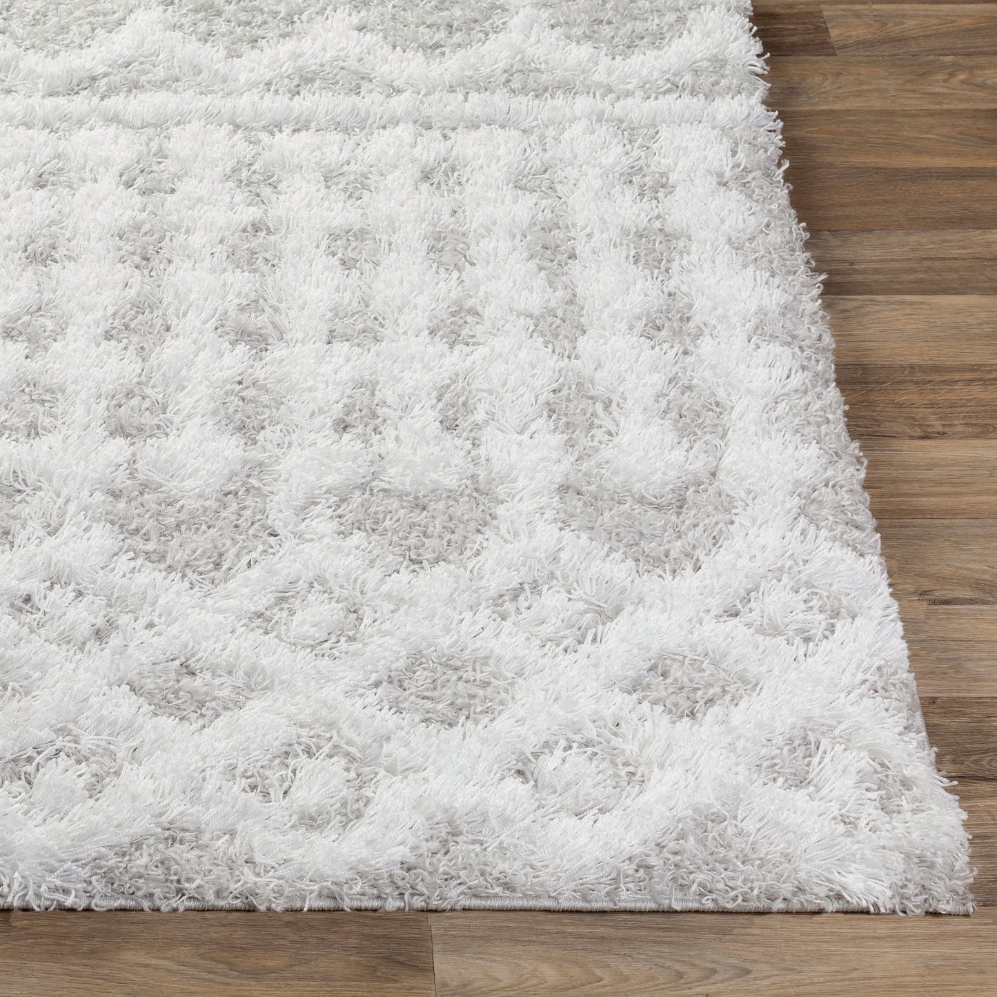 CARTER Tapis Shaggy - Tapis Moderne, Salon, Chambre - Tapis Ethnique à Poils Longs, Doux, Moelleux, Entretien Facile - Blanc, Gris