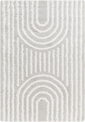 BLANCHARD Tapis Shaggy - Tapis Moderne, Salon, Chambre - Tapis Scandinave à Poils Longs, Doux, Moelleux, Entretien Facile - Blanc, Gris