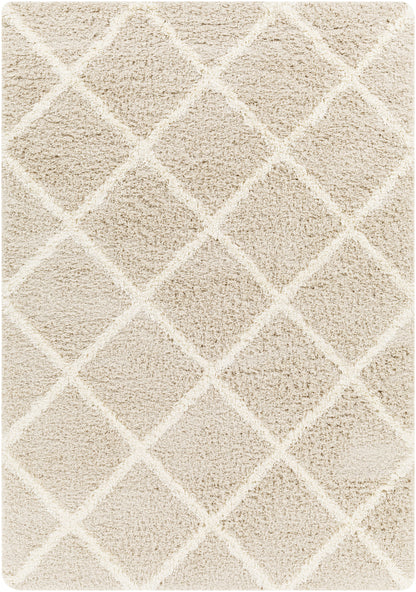 BLENCOE Tapis Shaggy - Tapis Moderne, Salon, Chambre - Tapis Bohème à Poils Longs, Doux, Moelleux, Entretien Facile - Blanc, Beige