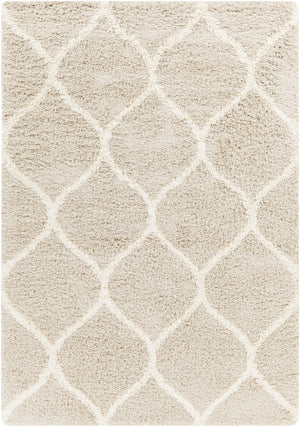 BLOCKTON Tapis Shaggy - Tapis Moderne, Salon, Chambre - Tapis Oriental à Poils Longs, Doux, Moelleux, Entretien Facile - Bleu, Gris