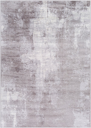 DOLE Tapis Abstrait - Tapis Moderne, Salon, Chambre, Salle à Manger - Tapis Design Marbre Moucheté à Poils Courts, Doux, Durable - Gris